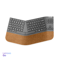  Lenovo Go Wireless Split